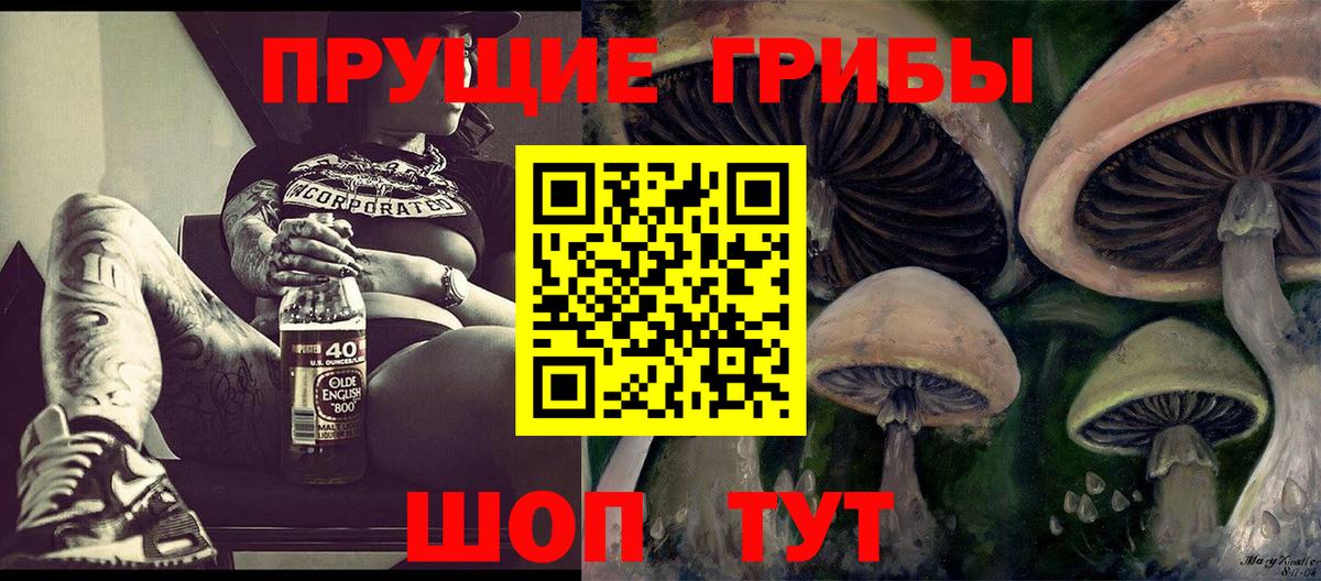 Феодосия  Галлюциногенные грибы прущие грибы  Вход с VPN 