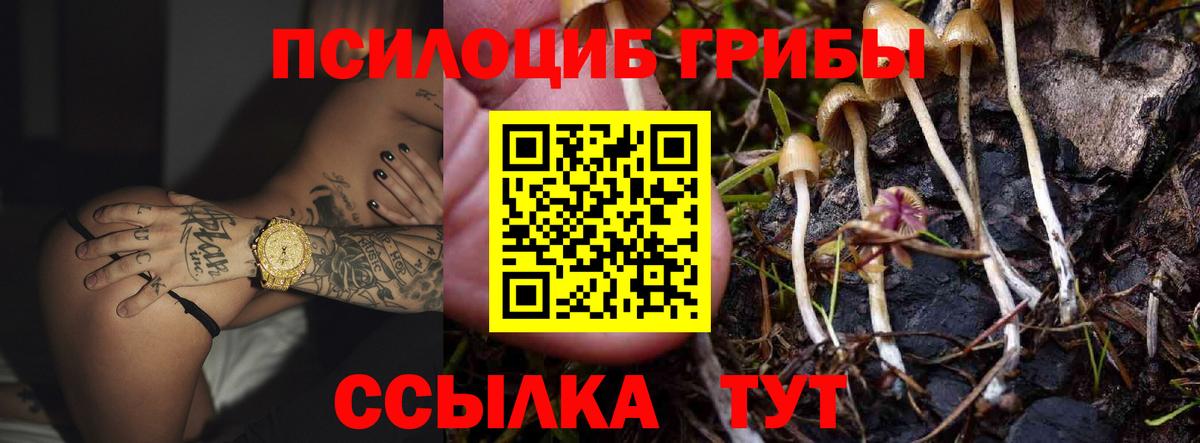 Галлюциногенные грибы GOLDEN TEACHER Феодосия